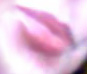 03/11/2009