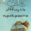 12/07/2010